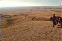 Ararat (c) D.R.