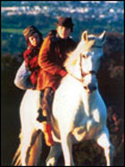 Into the west (c) D.R.