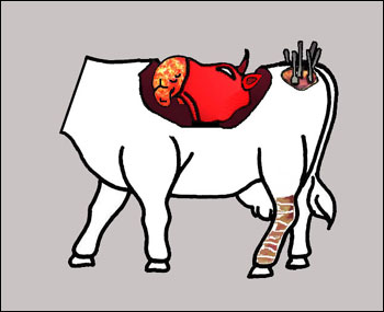 La Vache de David Lynch (c) Alexis Laballery
