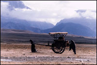 A cinq heures de l'après-midi (c) D.R.